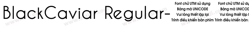 BlackCaviar Regular字体转换